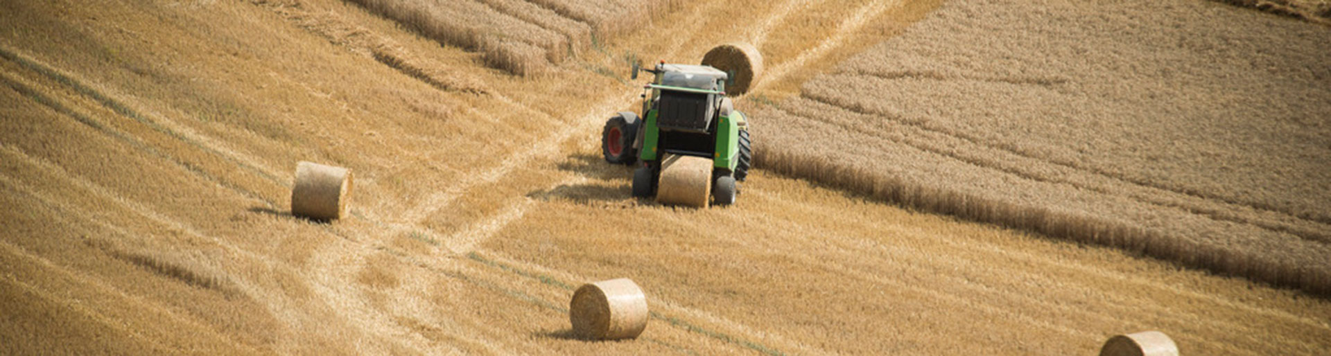 tracteur dans un champ