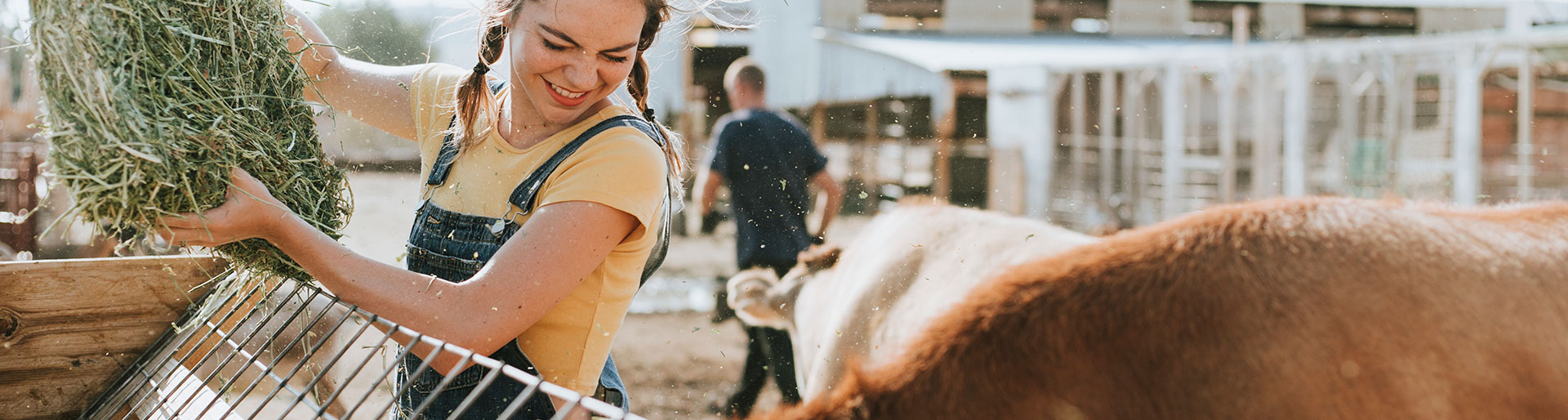 BTSa PA - couple de fermiers nourrissant des vaches