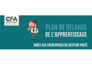 Plan de Relance de l'Apprentissage - Aides aux Entreprises du Secteur Privé